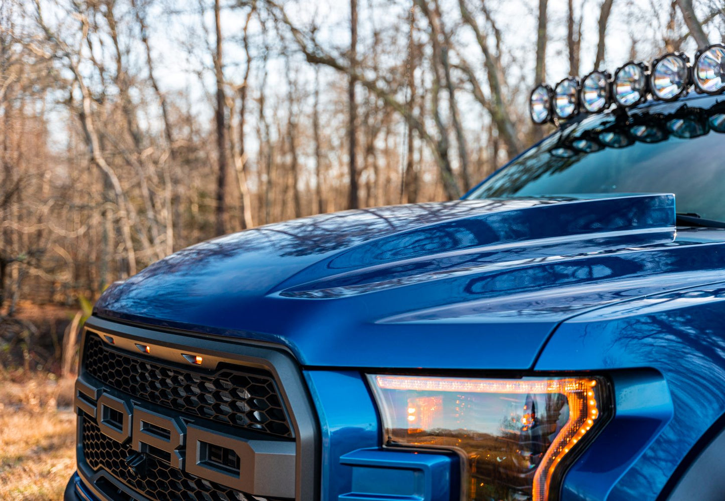 Cervini 2017-20 F150 Raptor Cowl Hood
