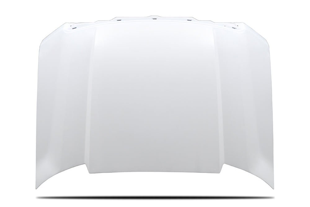 Cervini 2009-14 F150 Cowl Hood