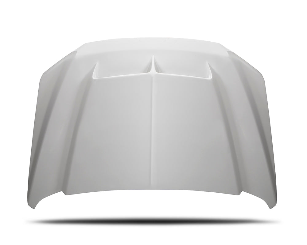 Cervini 2015-20 F150 Ram Air Hood