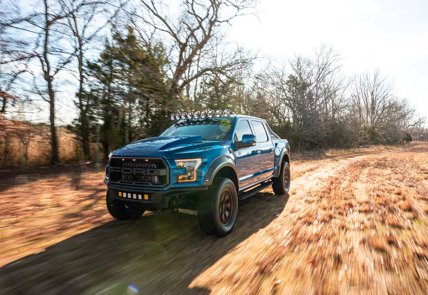 Cervini 2017-20 F150 Raptor Cowl Hood