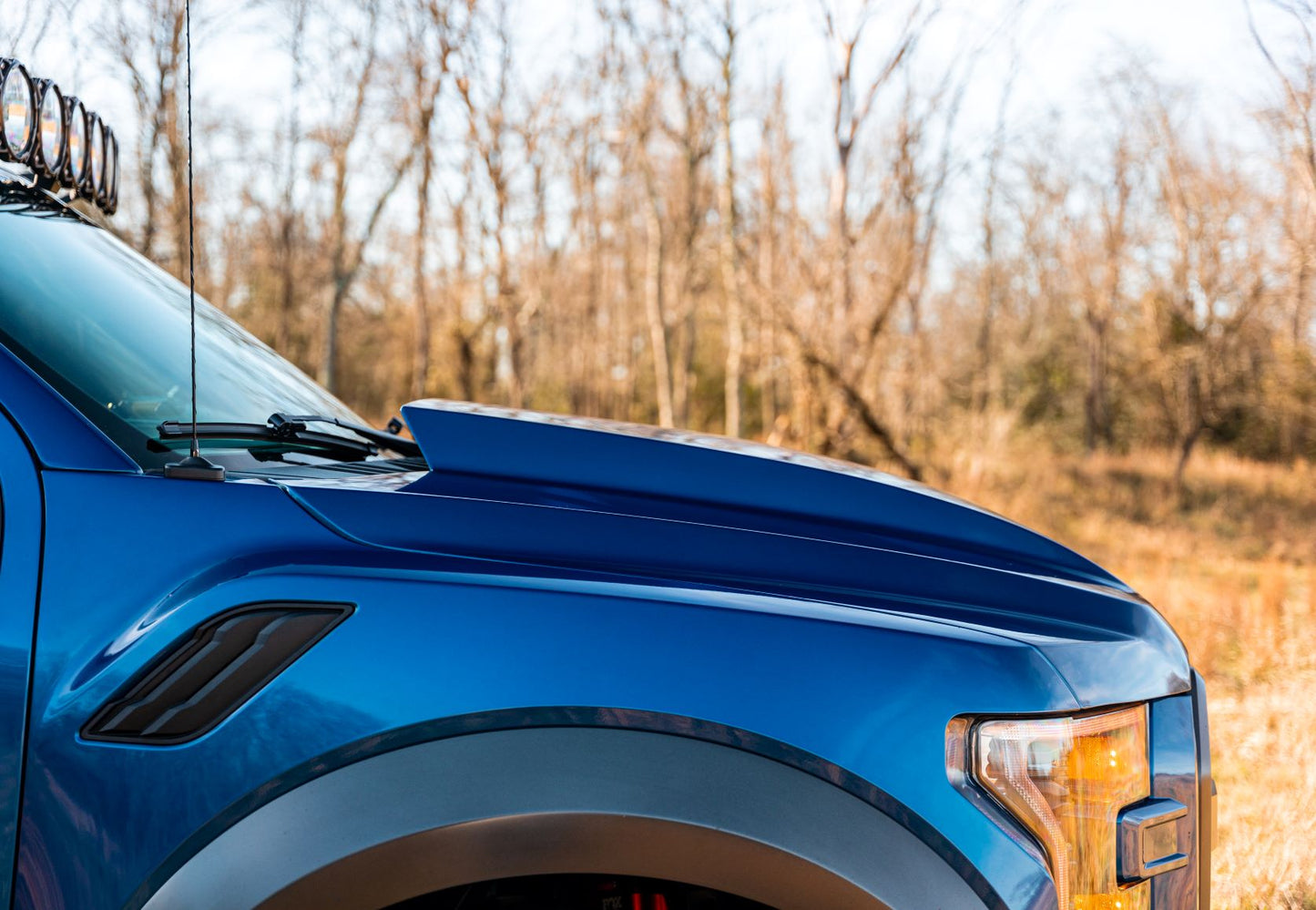 Cervini 2017-20 F150 Raptor Cowl Hood