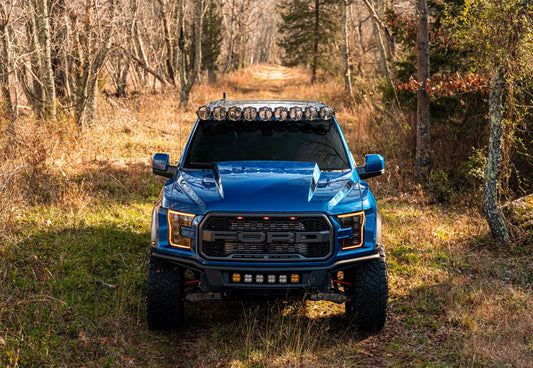 Cervini 2017-20 F150 Raptor Cowl Hood