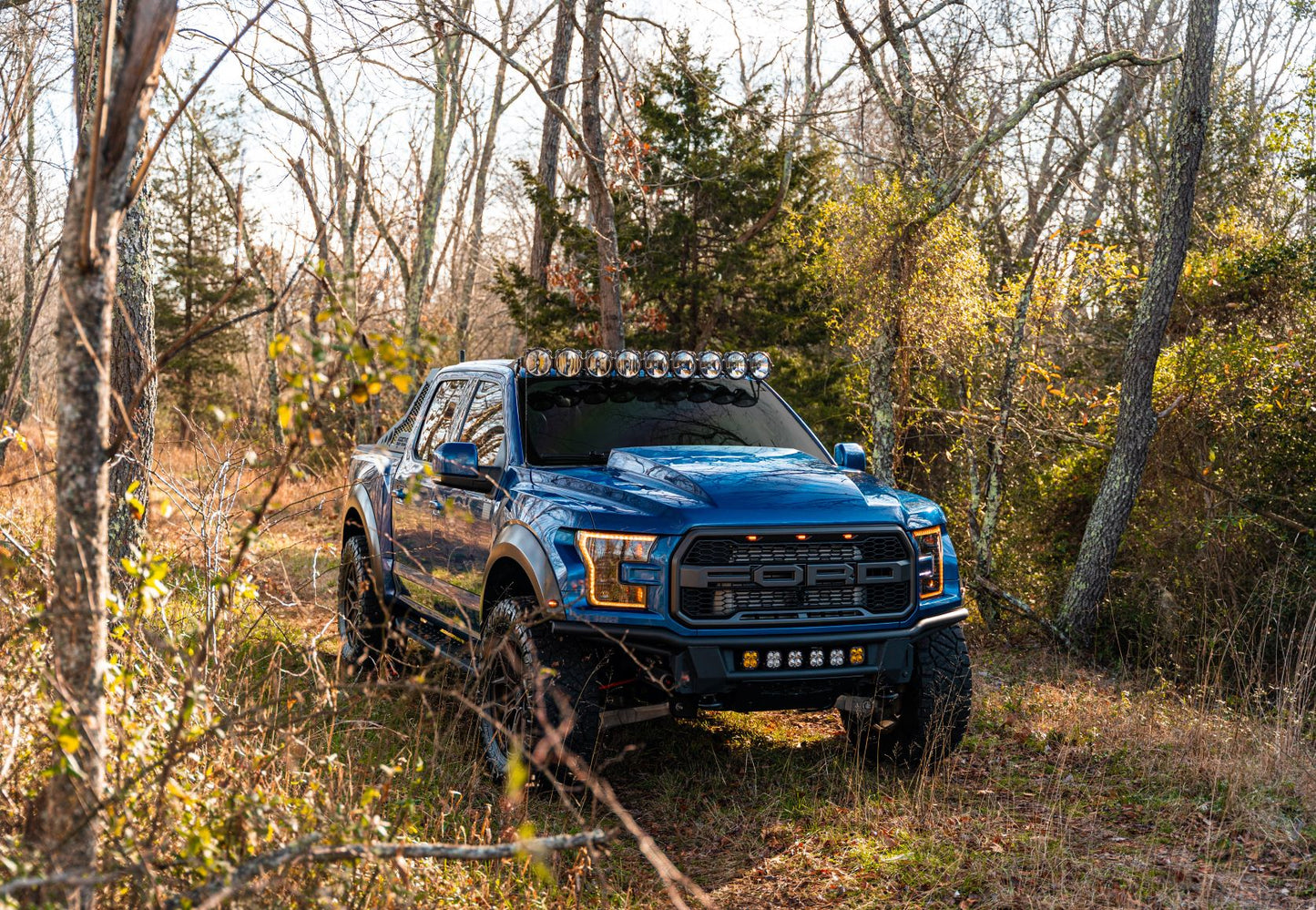 Cervini 2017-20 F150 Raptor Cowl Hood