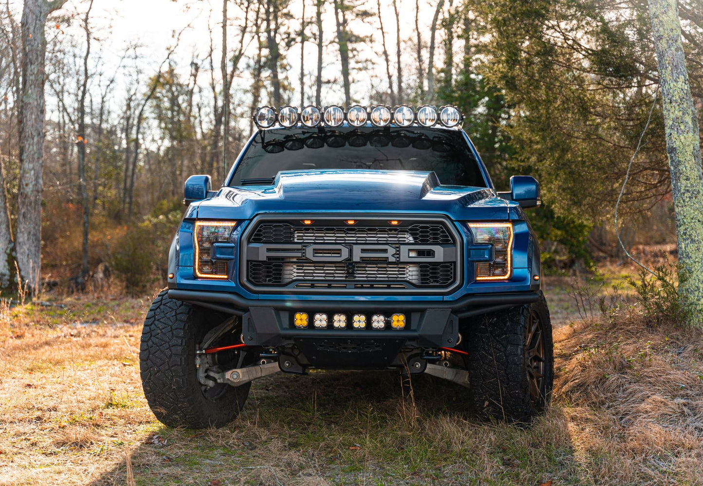 Cervini 2017-20 F150 Raptor Cowl Hood