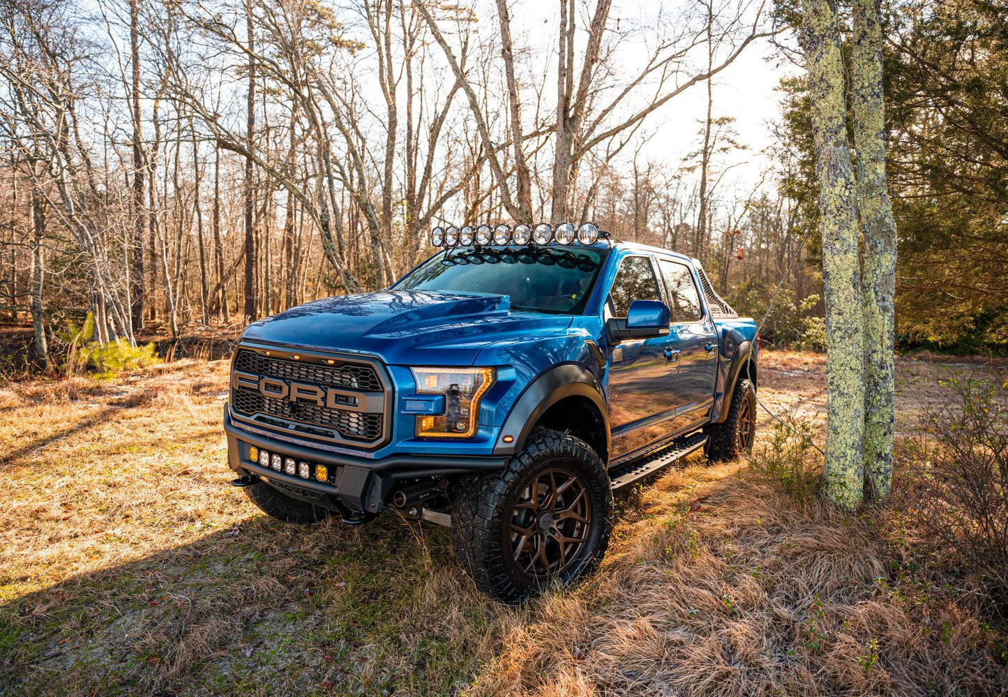Cervini 2017-20 F150 Raptor Cowl Hood